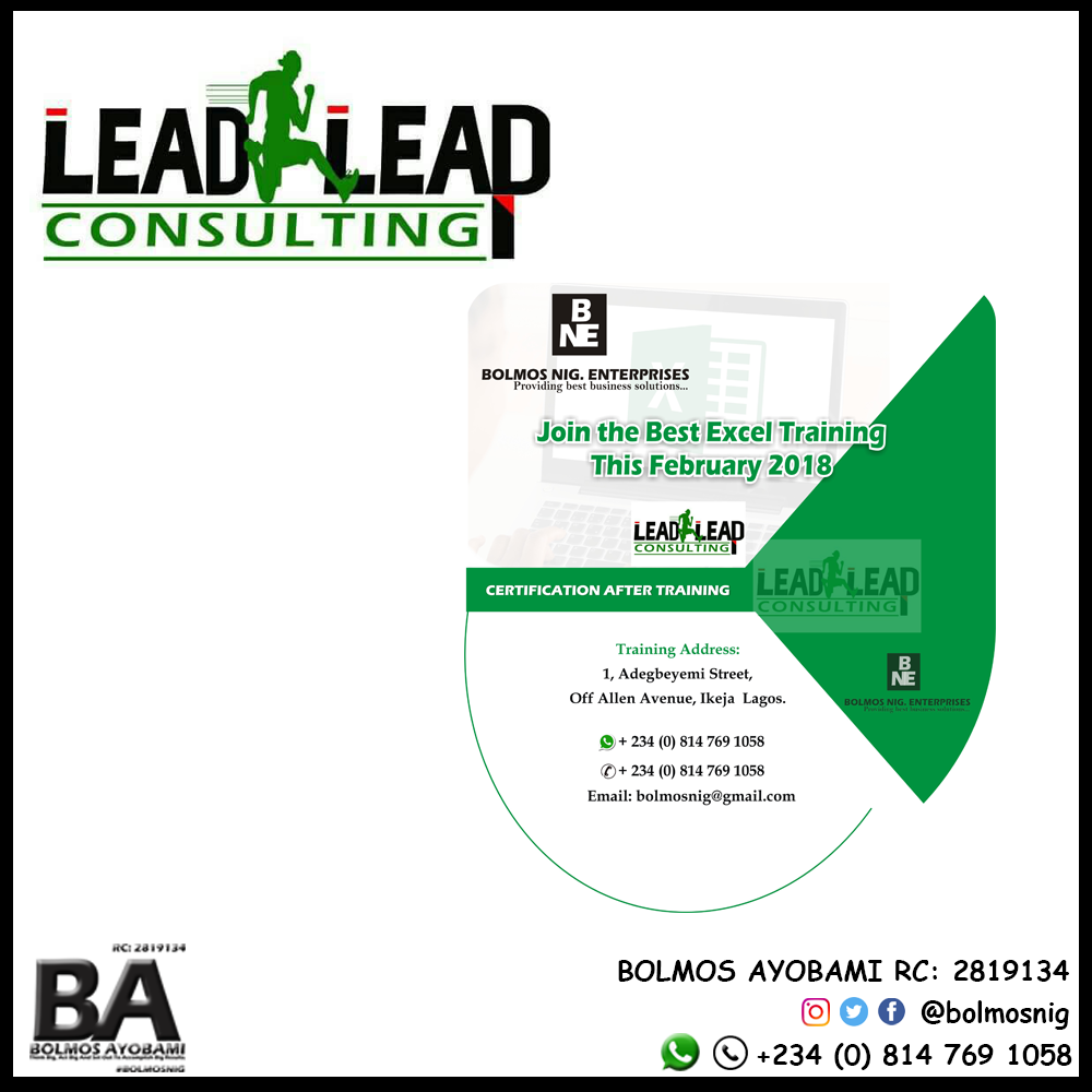 Lead Leap Consult Logo and Ads Design